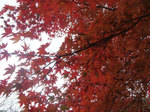 081115b.jpg