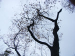 081115f.jpg
